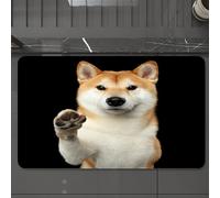 EMCLKS Tapis de Bain Antiderapant, Tapis Salle de Bain en Microfibre Douce, Tapis de Bain Absorbant, Lavable,Portrait d'un Adorable Shiba Inu. Il a l'air Amical et Donne la Patte.,60x90 cm