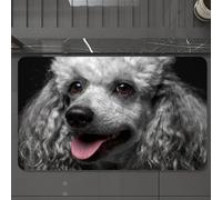 EMCLKS Tapis de Bain Antiderapant, Tapis Salle de Bain en Microfibre Douce, Tapis de Bain Absorbant, Lavable,Animal, Portrait de Caniche Gris avec des Cheveux Gris bouclés et Duveteux et de,60x90 cm