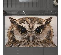 EMCLKS Tapis de Bain Antiderapant, Tapis Salle de Bain en Microfibre Douce, Tapis de Bain Absorbant, Lavable,Photographie Macro d'un Hibou en Haute résolution. Le Hibou bureaucrate, égaleme,60x90 cm