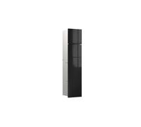 emco asis module pure WC, montage encastré, charnière de porte à droite, façade en verre en deux parties, 730x170mm, avec compartiment pour rouleau de réserve, 975527501, Couleur: aluminium/noir
