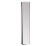 emco asis modules 300 : module d'armoire encastré, porte à miroir double face sur les deux faces, 972028013, Couleur: chrome/miroir