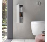 emco asis module plus, module WC - modèle encastré, 3 compartiments pour papier WC, rouleau de rechange ou boîte papier humide, charnière de porte à gauche, 975611004
