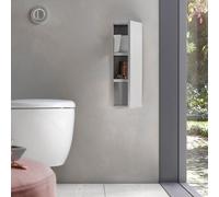 Emco Asis Plus Module WC, avec porte-papier toilette et porte-rouleaux de papier toilette, 975611005,