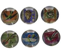 Emde 877TTT-0 Lot de 6 Aimants Motif Rennes Assortis