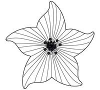 Emde PL425T00-0 Déco Etoile Métal