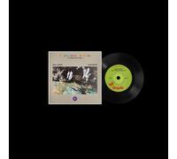 Emeli Sandé / John Gran – The Endless Coloured Ways: The Songs of Nick Drak – Vinyle