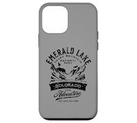 Emerald Lake Rocky Mountain National Park Design Vieilli Coque pour iPhone 12 Mini