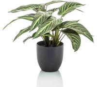 Emerald Maranta Calathea Zebrina artificiel 38 cm en pot