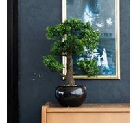 Emerald Mini bonsaï Ficus artificiel Décoration Plante jardin Vert 47 cm 420006