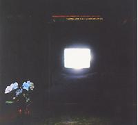 Emeralds - Does It Look Like I'm Here?