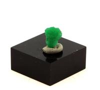 Emeraude. 1.51 Ct. Mingora Emerald Deposit, Swat District, Pakistan.