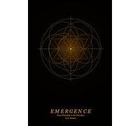 EMERGENCE: From Potential To the Overflow