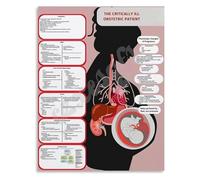 Emergency Obstetrics Poster Critical Care Algorithms for the Pregnant Patient Canvas Print for Hospital Training(Framed,16x24inch(40x60cm))