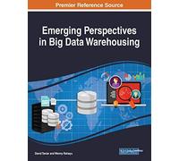 Emerging Perspectives In Big Data Warehousing