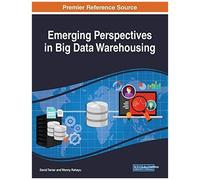 Emerging Perspectives In Big Data Warehousing