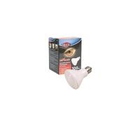 Emetteur céramique de chauffage infrarouge 100 W pour reptiles