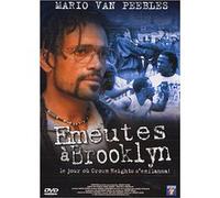 Emeutes à Brooklyn
