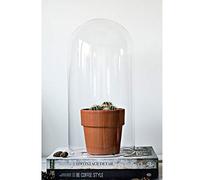 EMH Cloche circulaire en verre soufflé à la bouche Transparent 40 x 20 cm - Ornement - Mariage