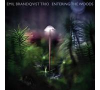 EMIL TRIO BRANDQVIST - ENTERING THE WOODS (LTD/180GR/BLACK) VINYL LP NEUF