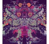 Emilie & Ogden 10,000 (Vinyl) 12" Album