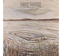 Emily barker - A dark murmuration of words