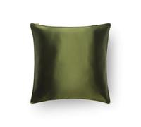 Emily's Pillow - Taie d'oreiller en Pure Soie de Mûrier Biologique et Velours - 22 Momme - Qualité Supérieure Grade 6A - Vert - 65x65 cm