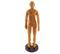 Eminchu Modèle D'acupuncture du Corps Humain, Couleur Cuivre, pour L'enseignement et le Massage, Disponible en Modèles Féminins et Masculins, Matériau PVC, Hauteur 53 Cm (femme)