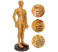 Eminchu Modèle D'acupuncture du Corps Humain, Couleur Cuivre, pour L'enseignement et le Massage, Disponible en Modèles Féminins et Masculins, Matériau PVC, Hauteur 53 Cm (homme)