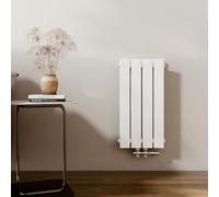 EMKE Radiateur design petit 600 x 304 mm vertical plat avec raccord central, double couche, radiateur mural pour salle de bain, chambre à coucher et salon, blanc, 384 W