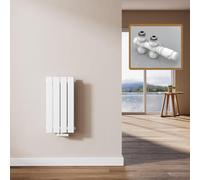 EMKE Radiateur Design Vertical, 60 x 30 cm, Radiateur Mural Plat en Acier,Double panneau, Raccord Central, Blanc, 327W(y compris vannes)