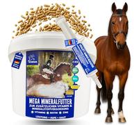 EMMA Nourriture minérale pour chevaux avec biotine, zinc, iode, sélénium, magnésium, levure de bière, cheval, vitamines E, D, A, C, K, B12, B vitamines I Nourriture minérale pour chevaux - Nourriture