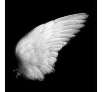 Emmaline Twist - Dissimulation