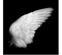 EMMALINE TWIST - DISSIMULATION VINYL LP NEUF