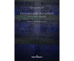 Emmanuelle Amsellem Vers la couleur cathédrale - Sébastien Mullier - Hermann - broché - Monographie