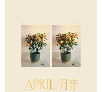 Emmy the Great - April [New Vinyl LP]