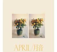 Emmy the Great April (Vinyl) 12" Album