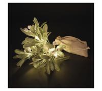 EMOS - Branche de gui LED - Buisson de gui avec 14 LED, blanc chaud - Minuterie 6/18 h - Fonctionne avec 2 piles AA - Longueur du câble : 0,25 m - Avec sac en jute - Durée de vie : 10 000 heures