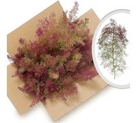 Émos de mer mousse de mer maquettes Remplissage en carton maximum possible Contenance : 25 x 21 x 17 cm Pour les forêts entières, le modélisme architectural, les travaux manuels, les