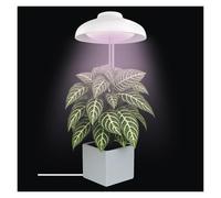 EMOS - Lampe LED Grow pour plantes d'intérieur et plantes succulentes - Lampe de croissance en forme d'abat-jour avec minuteur - Réglable en hauteur - Luminosité 235lm - Câble de charge USB-A de 1,5 m
