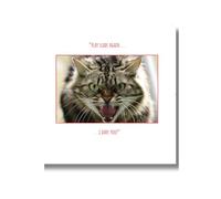 Emotional Rescue Carte de Noël Chat Multicolore 16,3 x 16,3 cm