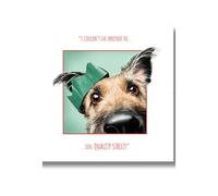 Emotional Rescue Carte de Noël, chien dans un chapeau de Noël, 16,3 x 16,3 cm, multicolore