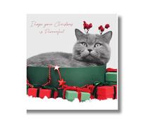 Emotional Rescue Carte de Noël en noir et blanc, motif chat avec cadeaux de Noël, 16,3 x 16,3 cm, multicolore
