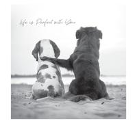 Emotional Rescue En noir et blanc, « Life is Perfect with You », carte d'anniversaire pour elle, carte d'anniversaire ouverte