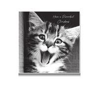 Emotional Rescue In Black & White Carte de Noël « Have a Purrfect Christmas with Cute Kitten » Multicolore 16,3 x 16,3 cm