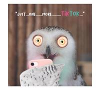 Emotional Rescue Safari virtuel, carte d'anniversaire pour lui, carte d'anniversaire pour homme, carte d'anniversaire amusante pour lui