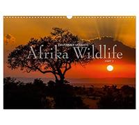 Emotionale Momente: Afrika Wildlife Part 2 / CH-Version (Wandkalender 2026 DIN A3 quer), CALVENDO Monatskalender: Dramatische und zugleich wunderschöne Bilder von Afrikas Tierleben.