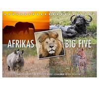 Emotionale Momente: Afrikas Big Five (Tischkalender 2026 DIN A5 quer), CALVENDO Monatskalender: Der Traum eines jeden Safaritouristen ist es die Big ... Löwe und Leopard vor die Linse zu bekommen.