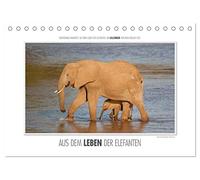 Emotionale Momente: Aus dem Leben der Elefanten. / CH-Version (Tischkalender 2026 DIN A5 quer), CALVENDO Monatskalender: Aus vielen tausend ... Bilder für diesen Kalender ausgesucht.