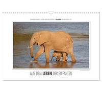 Emotionale Momente: Aus dem Leben der Elefanten. / CH-Version (Wandkalender 2026 DIN A3 quer), CALVENDO Monatskalender: Aus vielen tausend ... Bilder für diesen Kalender ausgesucht.