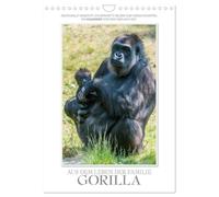 Emotionale Momente: Aus dem Leben der Familie Gorilla. (Wandkalender 2026 DIN A4 hoch), CALVENDO Monatskalender: Zauberhafte Bilder von unserem ... in Farbe. Fotografien von Ingo Gerlach GDT.